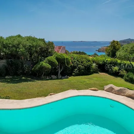 Corallina -